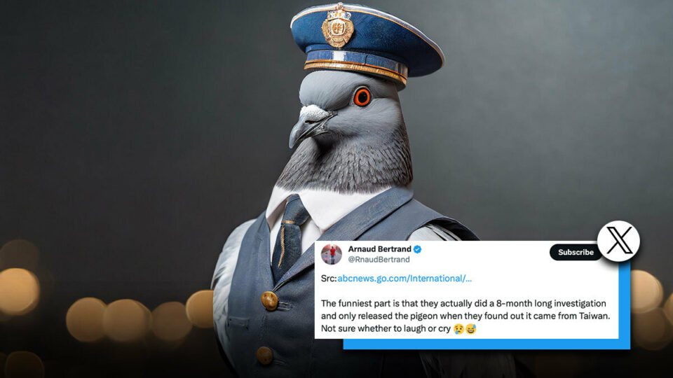 Suspected Chinese spy pigeon released after 8-month detention in India