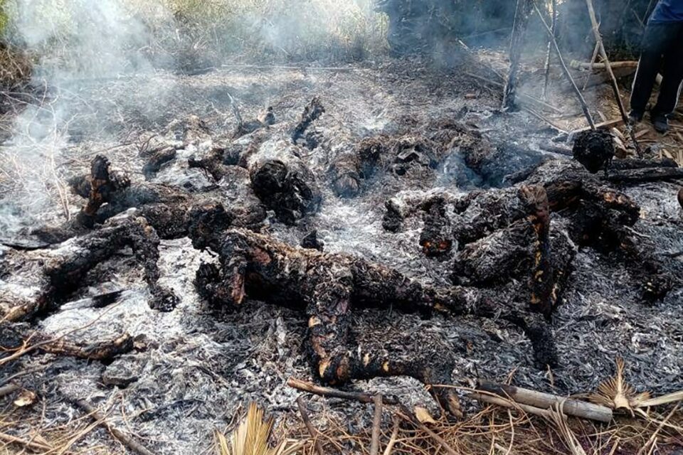‘Piles of corpses’ left after Myanmar junta attacks village