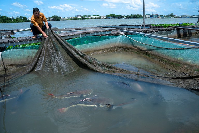 Vietnam should ask Cambodia to delay canal project: experts