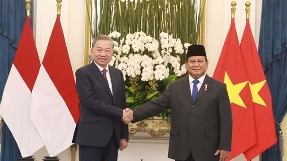 Vietnam, Indonesia upgrade relations to highest level